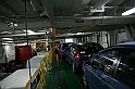 Kanary_2010 038